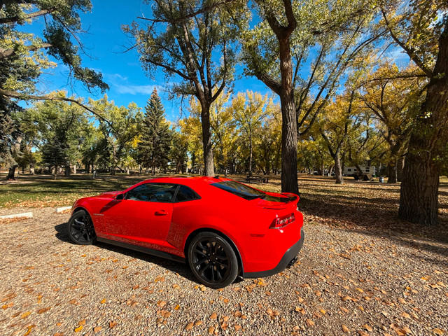 selling car in Cars & Trucks in Calgary - Image 3
