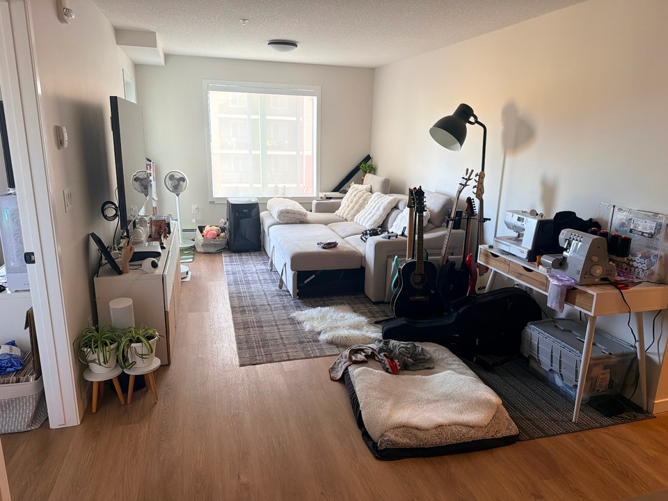 2 Bedroom / 2 Bathroom Apartment 3