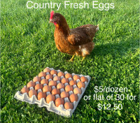 Country fresh brown EGGS