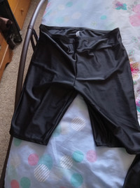 Brand New Plus size swim shorts