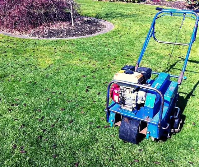 Spring Cleanups now!63581887554817121
