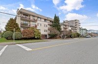 2 bedroom 1 bath apartment for Rent downtown Chilliwack
