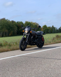 2017 Harley Davidson Street-Rod XG750A