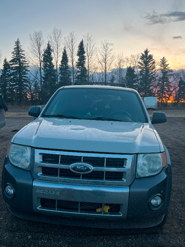 2008 ford escape in Cars & Trucks in Moose Jaw - Image 4