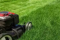 Dependable Lawn Care & Small Jobs - Perth & Smiths Falls