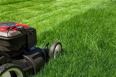 Dependable Lawn Care & Small Jobs - Perth & Smiths Falls in Lawn, Tree Maintenance & Eavestrough in Ottawa