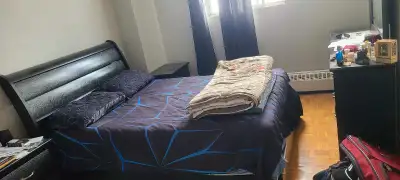 apartment 2 rooms for rent
