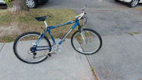 Adult Mountain bike for sale