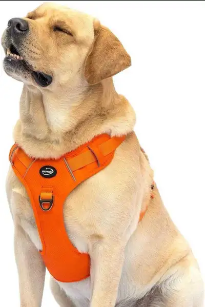 BFYFIRD Dog Harness, View more