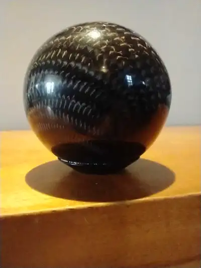Pommeau Vitesse Fibre Carbone Universelle 30 $ Argent Comptant