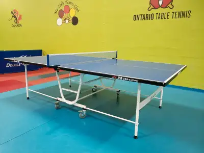 Double Fish DF-339 Outdoor Ping Pong Table (Double Folding), View more