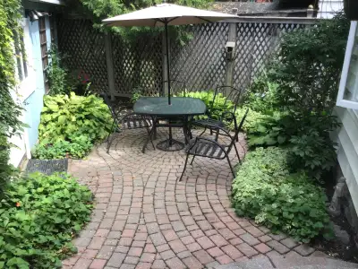 Glebe garden apartment for rent(Sept) 1 bed, plus den, office