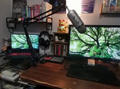 Blue Yeti multi-pattern USB microphone. I don't have the original laptop stand that it came with, so...