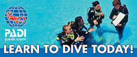 Learn To Scuba Dive