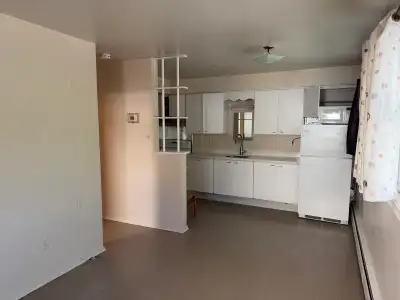 One bedroom apartment for rent located one block from Google building in downtown Kitchener, on the...