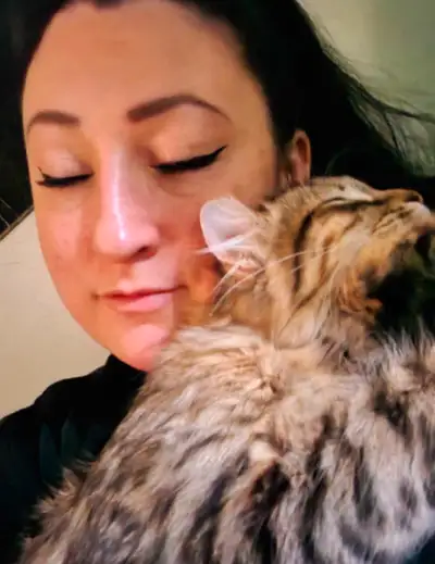 Bonjour, j'ai une femelle Highland lynx 2 gênes oreilles courbées, polydactyles à poil long.Elle est...