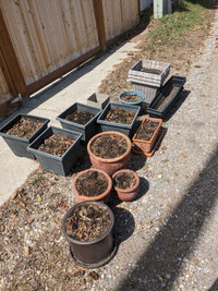 Free planting pots 