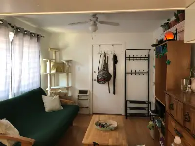 pictures of the unit