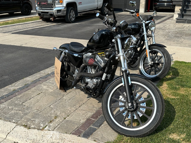 H d sportster in Street, Cruisers & Choppers in Markham / York Region