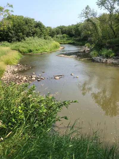 Gorgeous and secluded recreational/hunting land is 80 acres of heaven! This land is located in WMZ 4...