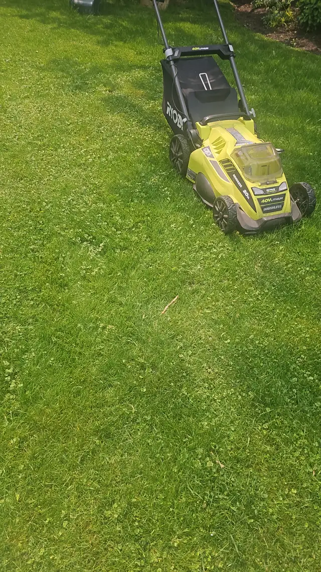 Grass Cutting Services – Fast, Affordable & Reliable! .62863715162627121