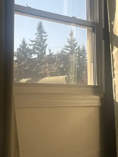 1bed1bath in Westmount/blockline, View more