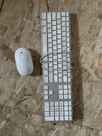 Apple Mac full size keyboard and Magic Mouse 