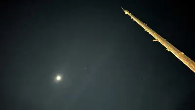 Looking for a rental room in Orangeville or Alton. Contact 226-558-1243