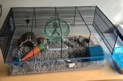 Large Hamster cage with accessories, View more