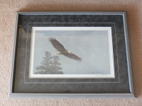 Robert Bateman Bald Eagle Flying Ltd Edition Print - 1999