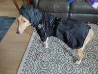 Canada Pooch full coverage rain coat size 24 inch