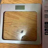 Bathroom weight scale 