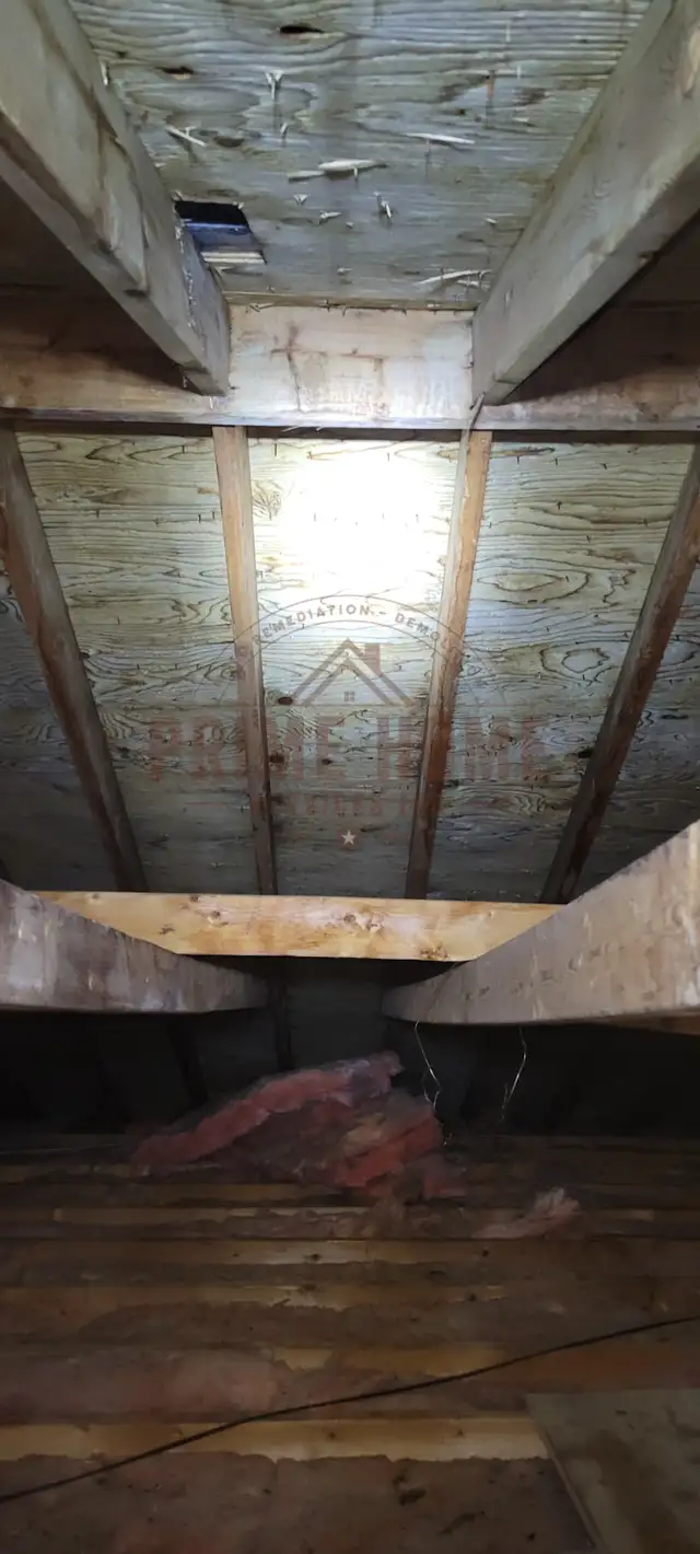 Attic Mold Remediation64959961008769123