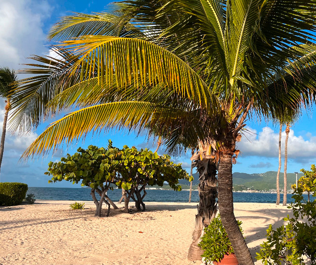 Location de vacances in St. Maarten - St. Martin - Image 4