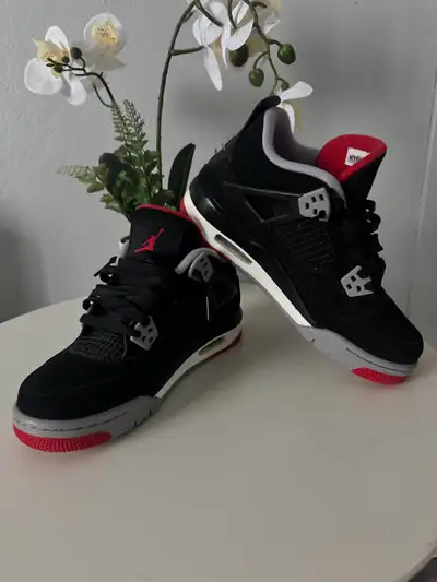 AUTHENTIC Jordan 4 Retro Bred (2019) Barely used Men’s 5.5 Price Negotiable Pick up and Delivery Whi...