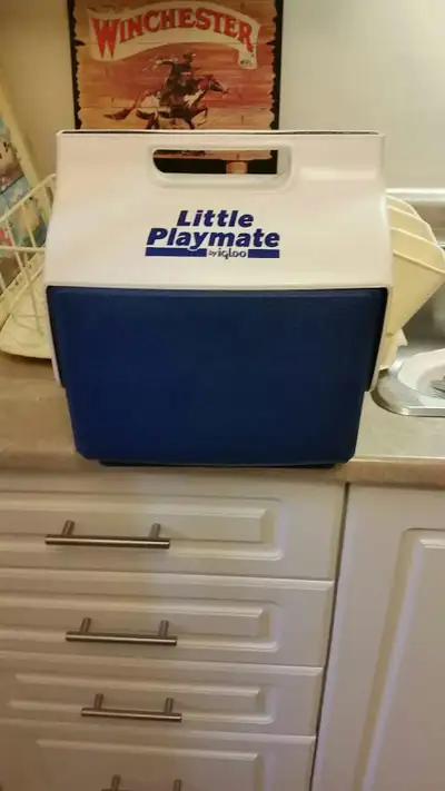 Igloo "Little Playmate " Lunch Cooler 7Qt $20.00 Firm! No Delivery! If Ad Is Up, Then Available! Wil...
