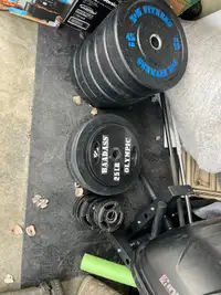 Bumper plates, ankle weights, weighted vest