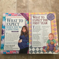 Pregnancy books