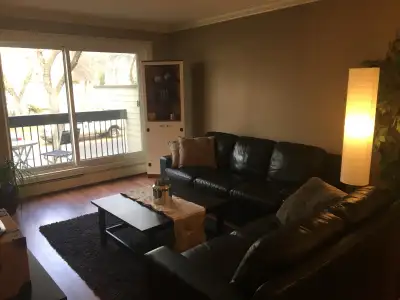 Furnished 1 bedroom Oliver condo