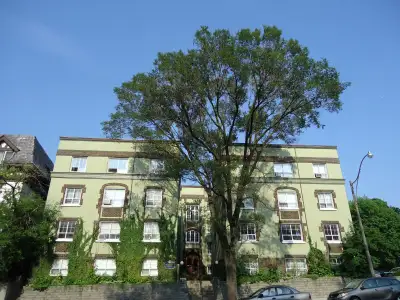 AMAZING NEWLY RENOVATED LARGE CHARACTER 2 BEDROOM SUITE (2 OPTIONS). Wonderful bright, spacious, cor...