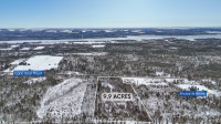 9.9 ACRES FOR SALE MURRAY HARBOUR $49,900!