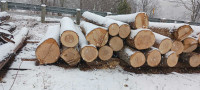 Ash and hemlock  mill logs forsale