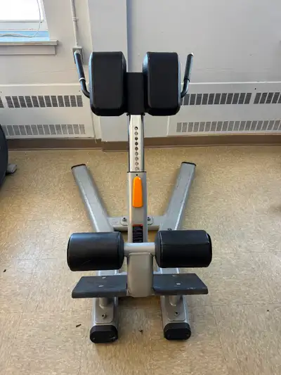 PRECOR DISCOVERY SERIES BACK EXTENSION, View more