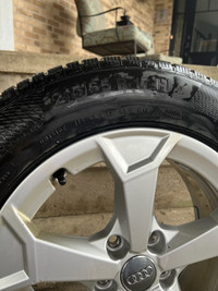 Contenental extreme contact winter tires with rims