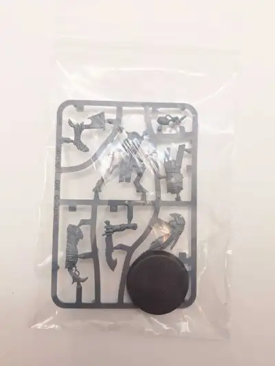 Warhammer 40k NoS Kroot Flesh shaper, View more
