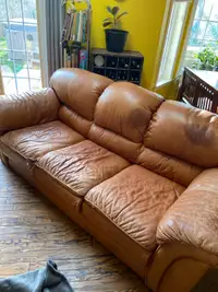 Free genuine leather couch 