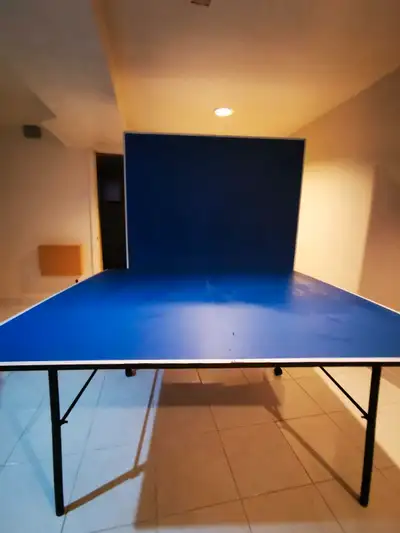 Get ready to serve up some fun with this ping pong table, perfect for game nights! This table comes...