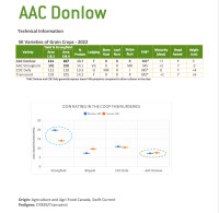 AAC Donlow Durum Seed