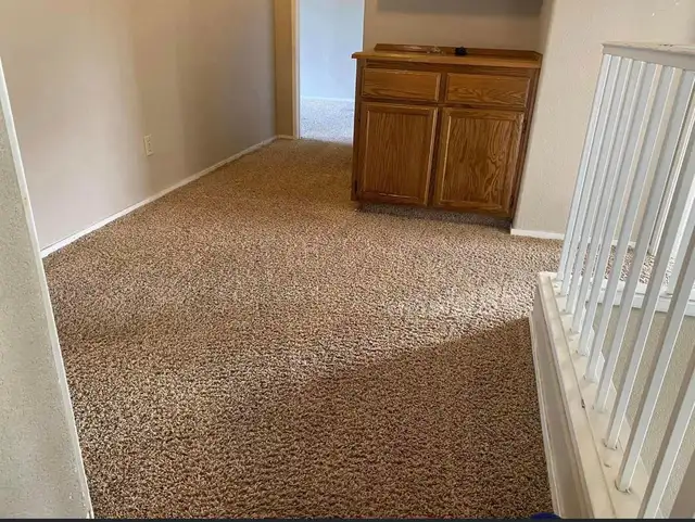 Professional House Carpet And Rug Cleaning In Affordable Price in Rugs, Carpets & Runners in Oshawa / Durham Region - Image 4