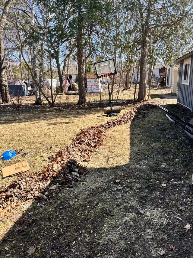 Yard Cleanup & Garbage Removal in Other in Barrie - Image 8